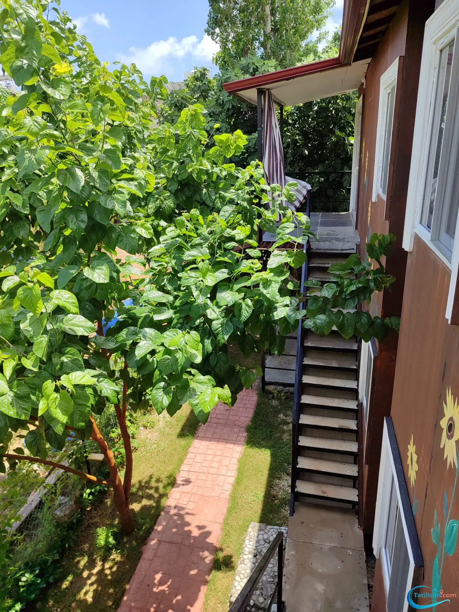 tatilcim.com Adrasan Asya Apart 